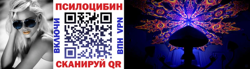 дарнет шоп  Кубинка  Псилоцибиновые грибы мицелий 
