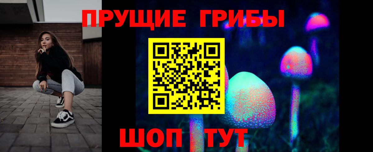 Галлюциногенные грибы Psilocybe  Вход с VPN  Кубинка 